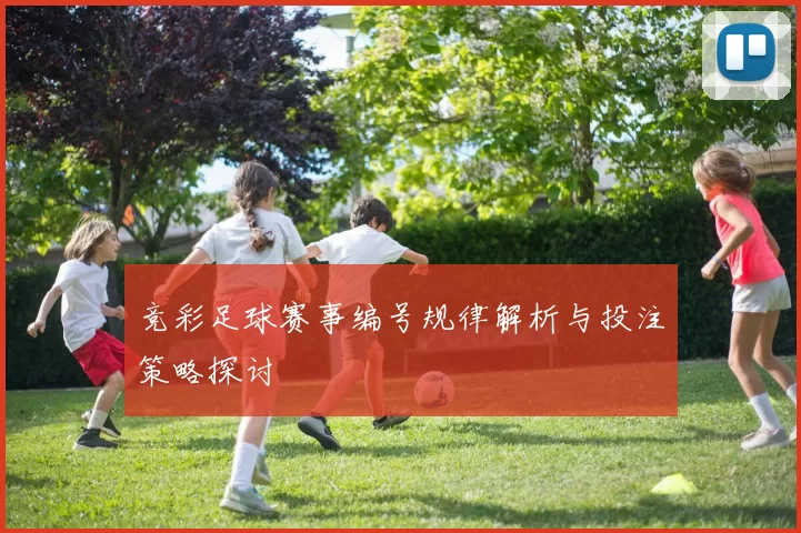 竞彩足球赛事编号规律解析与投注策略探讨
