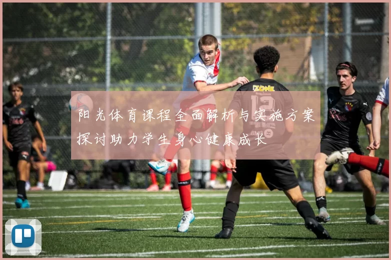 阳光体育课程全面解析与实施方案探讨助力学生身心健康成长